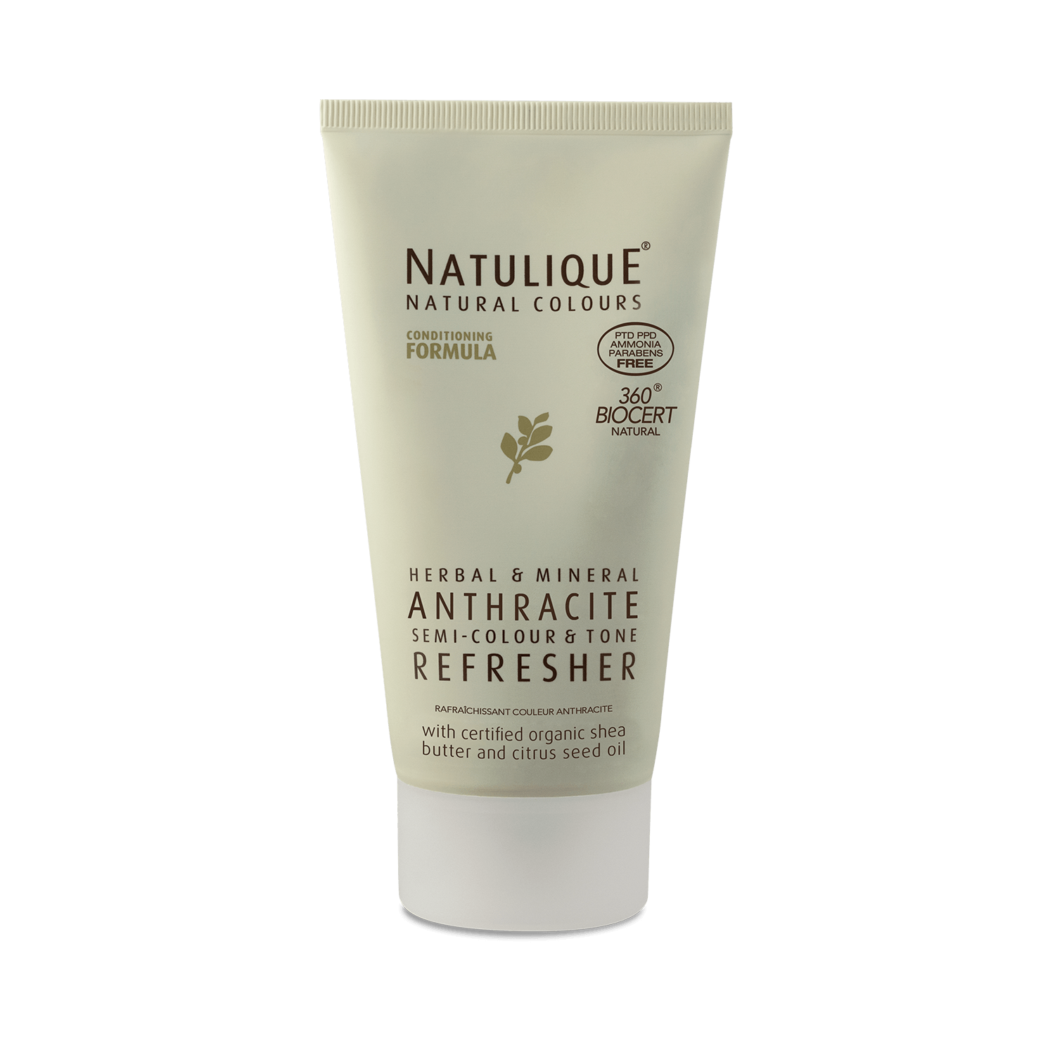 Anthracite Refresher