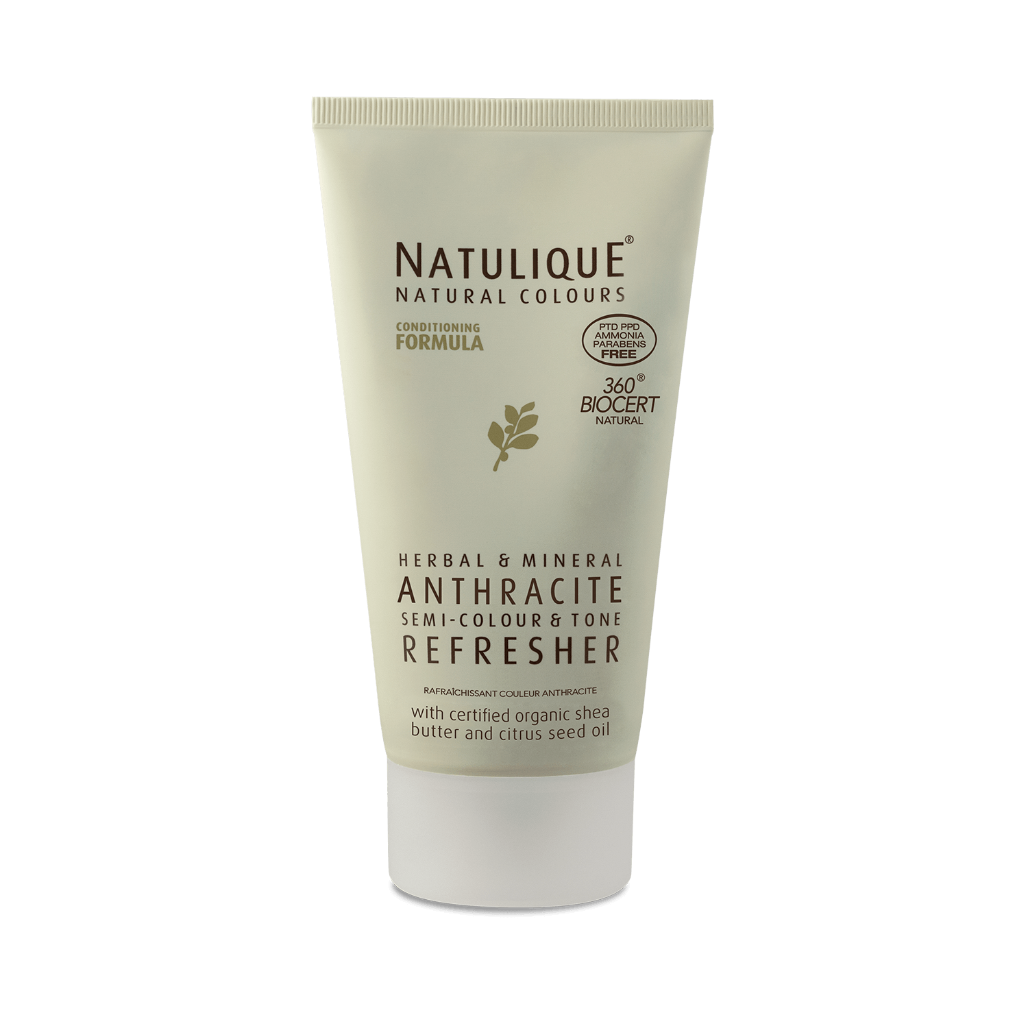 Anthracite Refresher