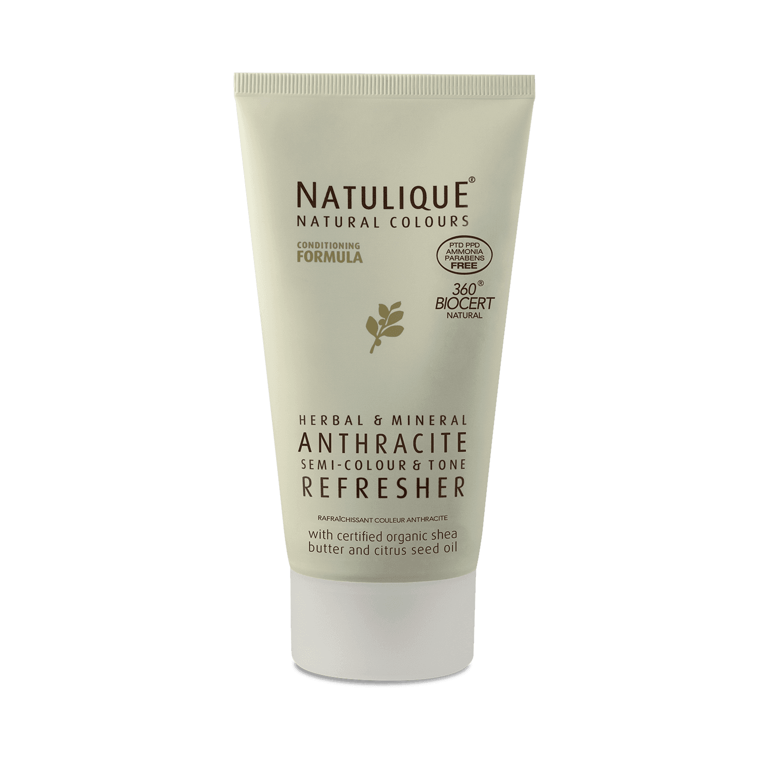 Anthracite Refresher